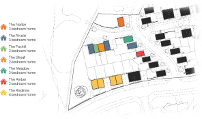 Development Plan