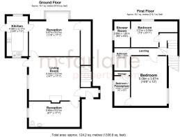 Floor/Site plan 1