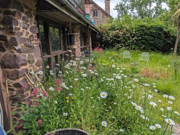 front garden.jpg