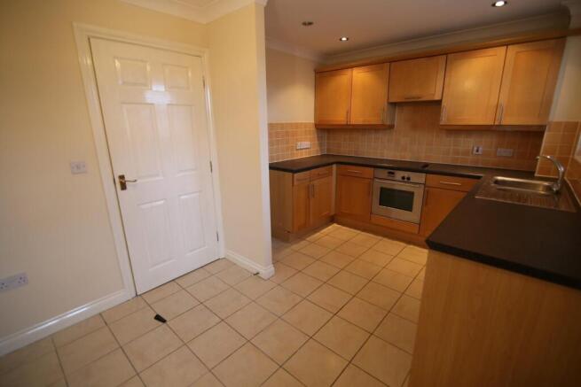 IMG_9455 (Large).JPG