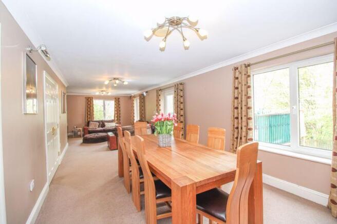 Lounge/Dining Area