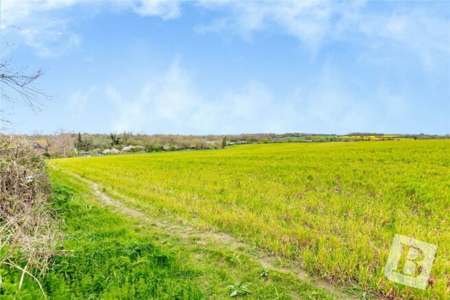 Farmland Views