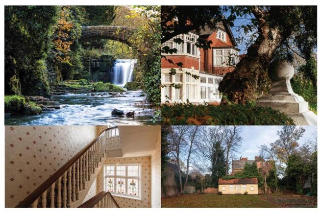 Updated Boards (NEW) 3-12.jpg