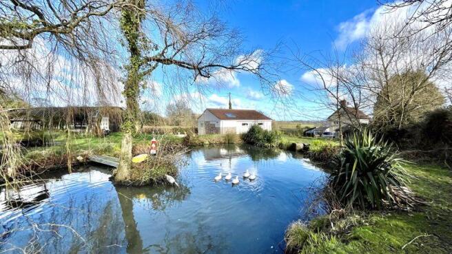 Pond