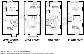 17 St Anns Ave Floor Plan