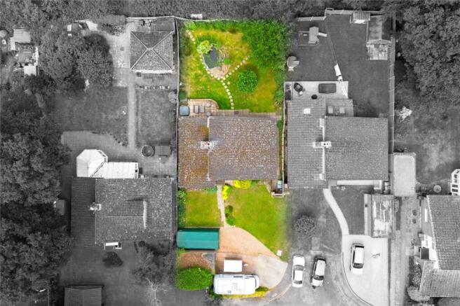 Plot View