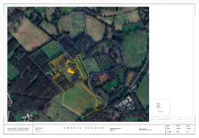 Floor/Site plan 1