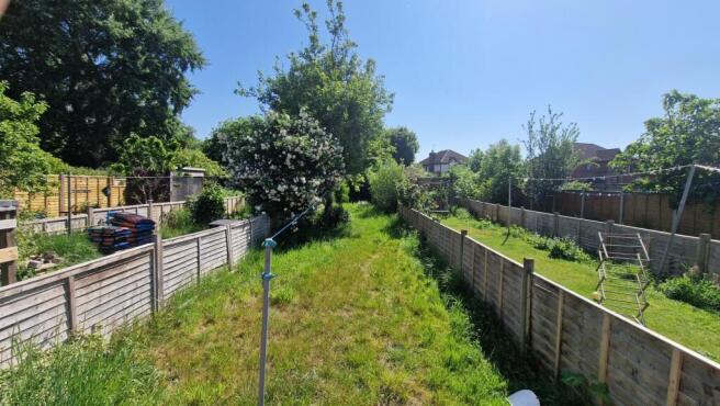 New Garden.jpg