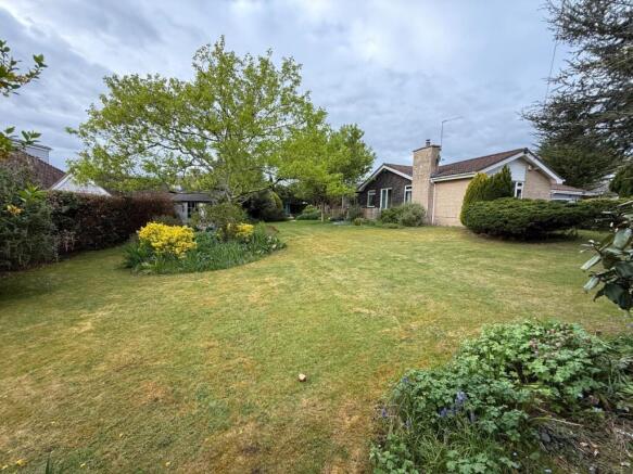 2 - garden.jpeg