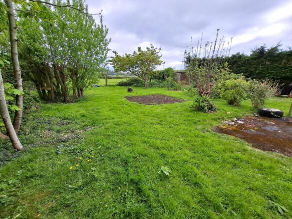 2 - rear garden.jpg