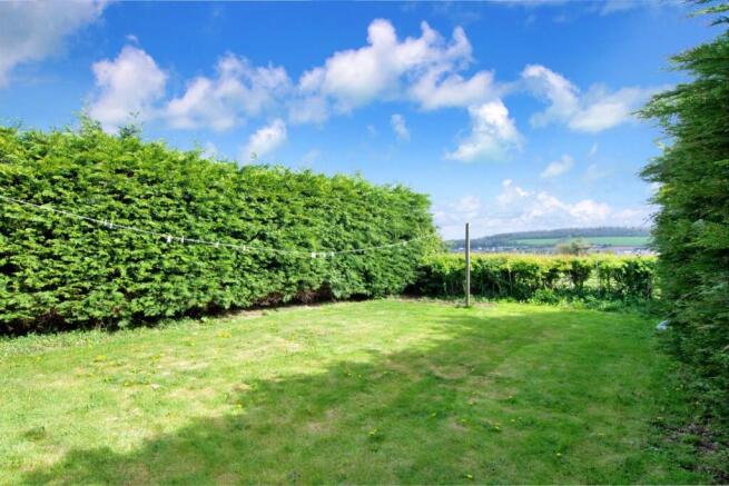 2 - garden.JPG