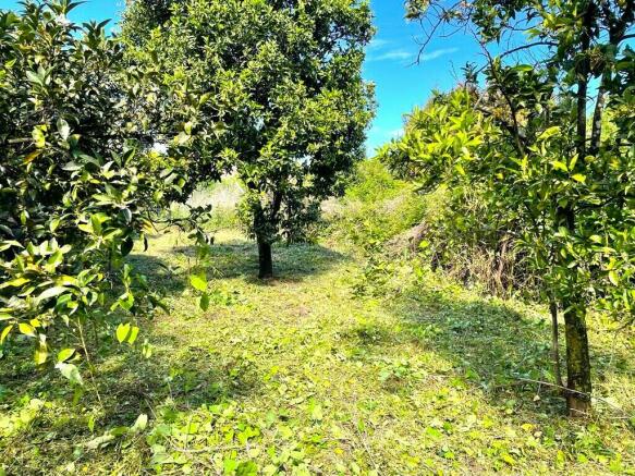 Land 1757 m² in Corfu - 3