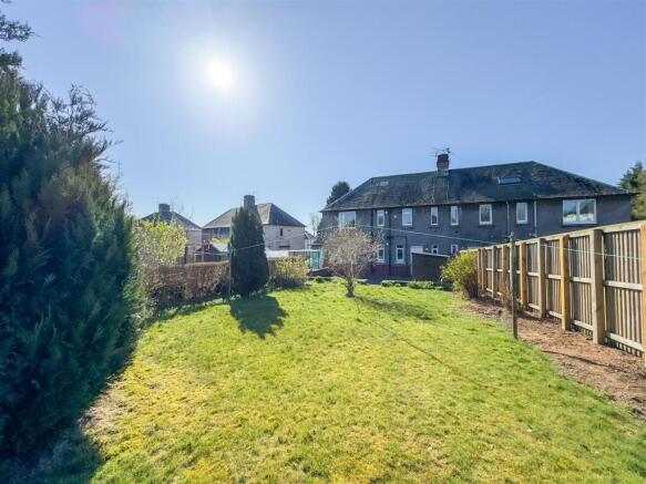 Back Garden