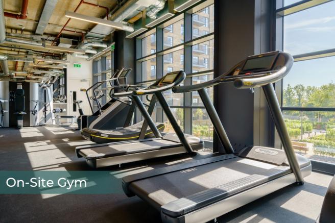 3e036451a26946f183ae92350d4b