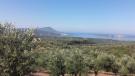Plot in Peloponnese, Messinia...