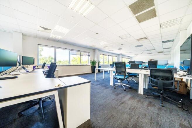 13048203168626a2a6babd  Edited.jpg