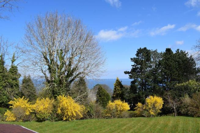 front garden.JPG