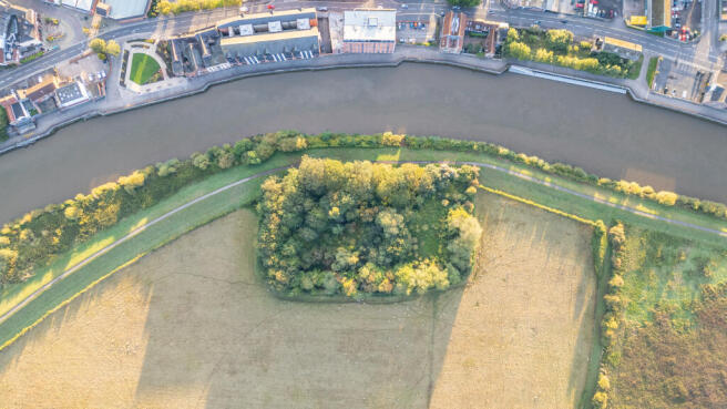 Dog Island 7 T202509191619.jpg