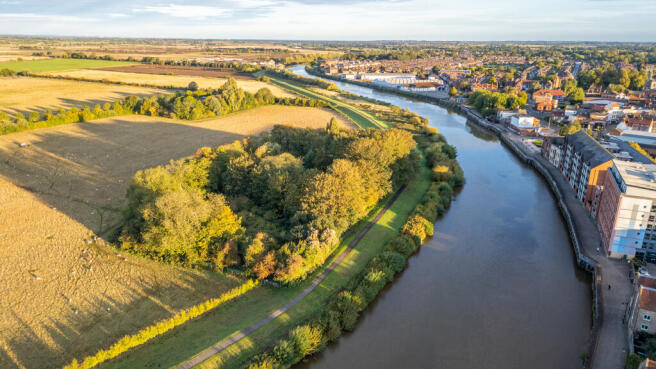 Dog Island 6 T202509191619.jpg