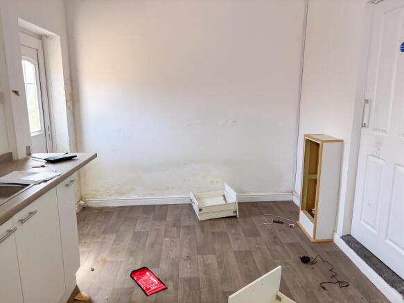 IMG 4350 T202507171629.jpg