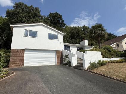 Brunel Park, Torquay