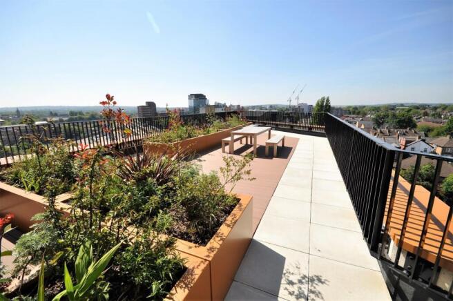 Communal Roof Terrace