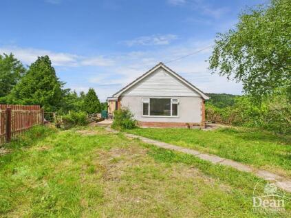 Camomile Green, Lydbrook