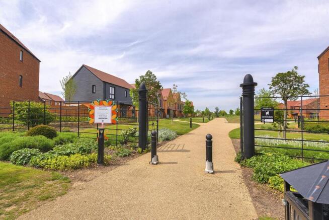 Linear Park Across the Road