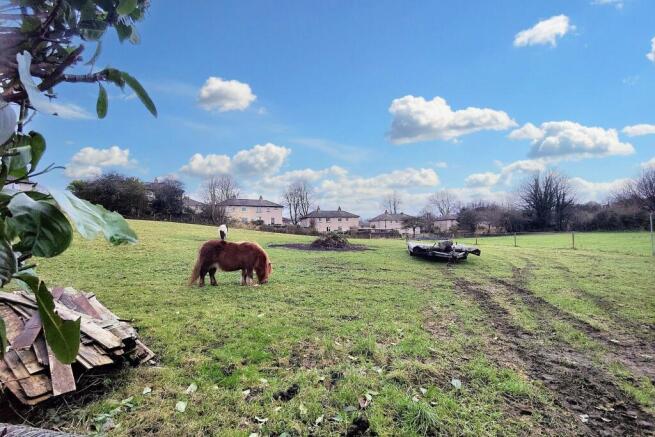 The Field