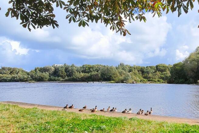 Riverside Walks