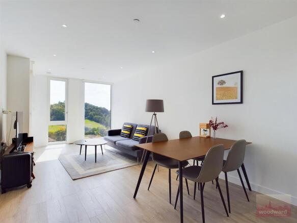 Kitchen/Living Area