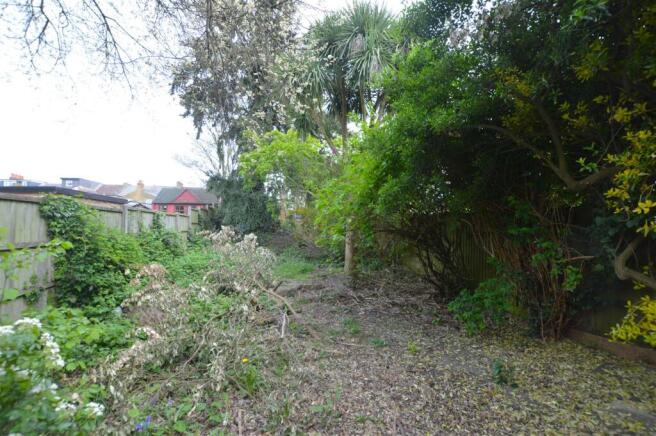 138 Whitton Road garden.JPG
