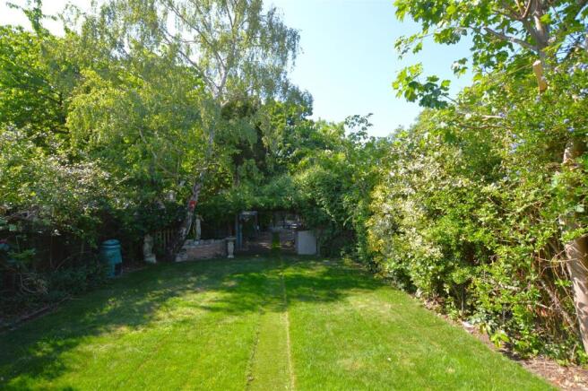 131 Argyle Avenue garden.JPG