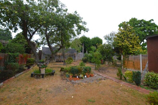 18 Lyndhurst Avenue garden.JPG