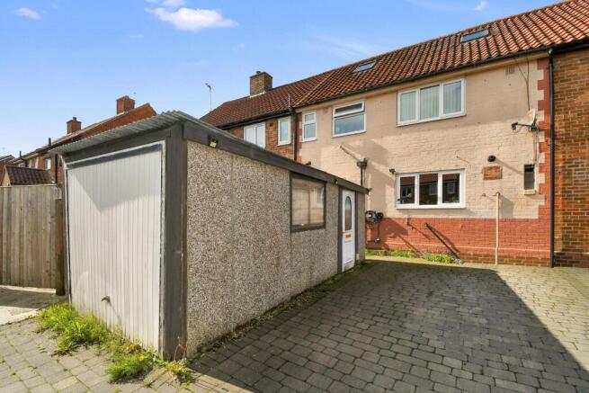 DSC_3105.JPG_enhanced (1).jpg