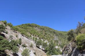 Photo of Canillas De Albaida, Mlaga, Andalusia