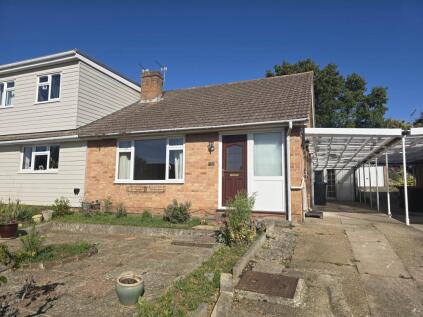 Cedar Road, Canterbury