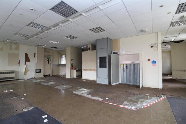 IMG 6111 Medium T202508131403.jpg