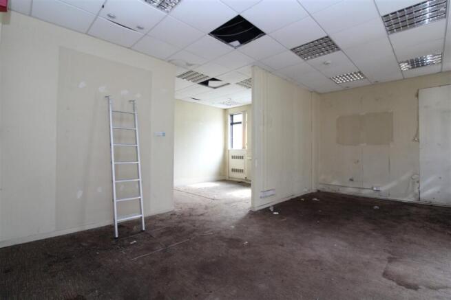 IMG 6112 Medium T202508131403.jpg