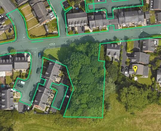 Lawnhurst Close Up T202509301209.jpg