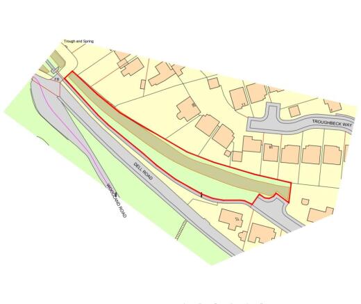 Main Pic Campion Nov25 T202511051641.jpg