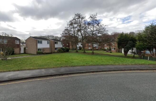 Street Pic Alder T202601191048.jpg