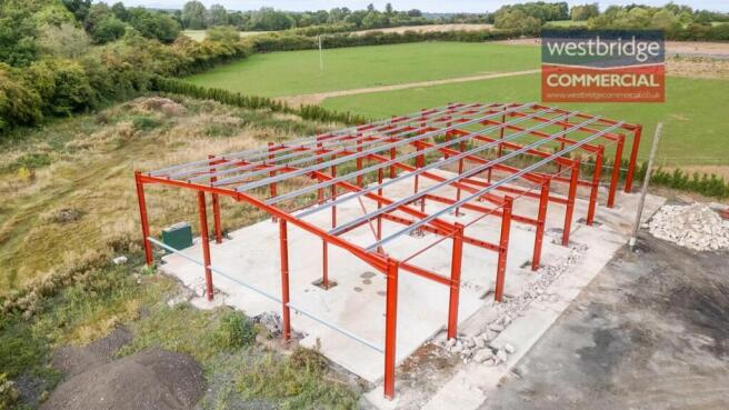 watermarked front.jpg