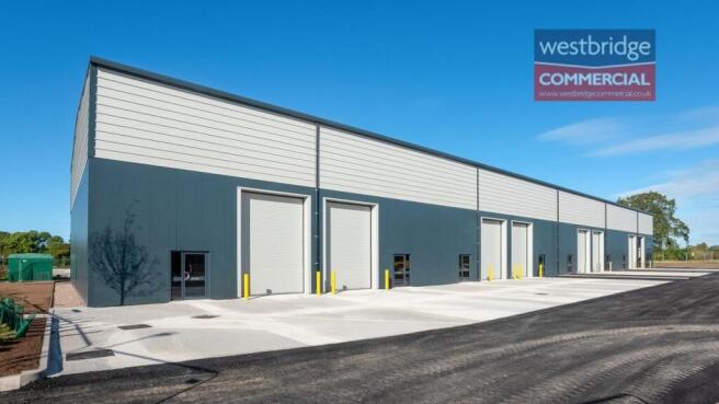 watermarked front.jpg