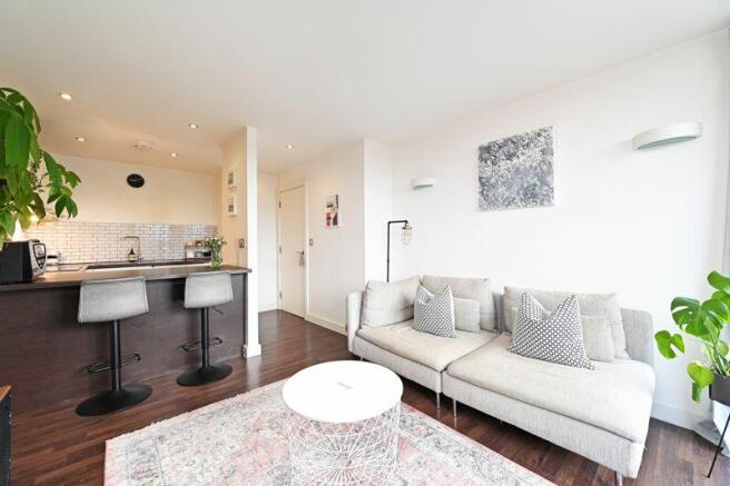 Living Area / Kitchen 