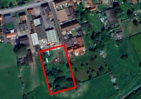 THE SITE