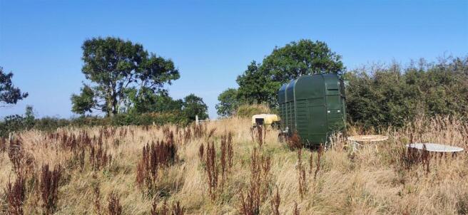 Field and Horse Trailer