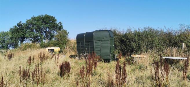 Horse Trailer