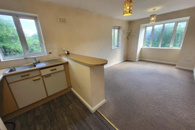 Living Rm & Kitchen 