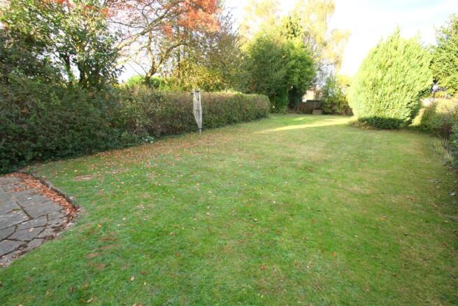 Garden.JPG